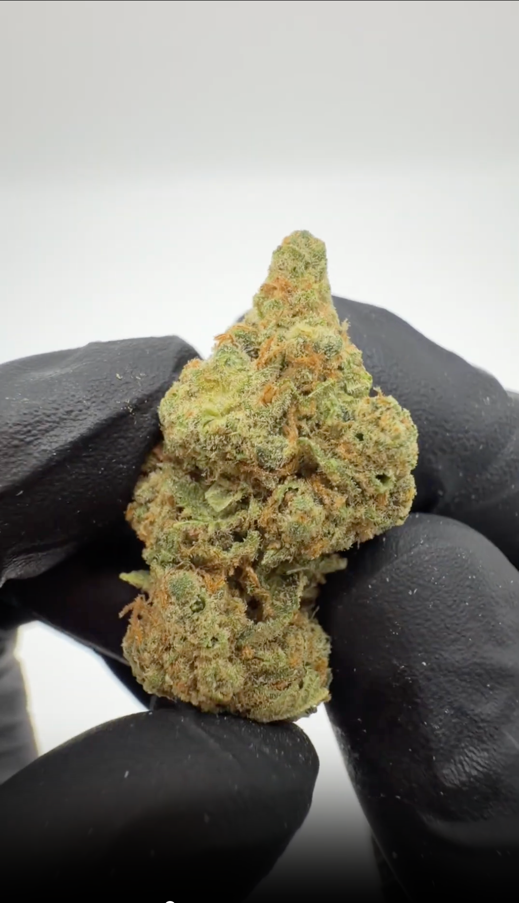 Rollz Amnesia Hydro CBD indoor dried flower orange doypack with premium buds displayed in front on a clean white background