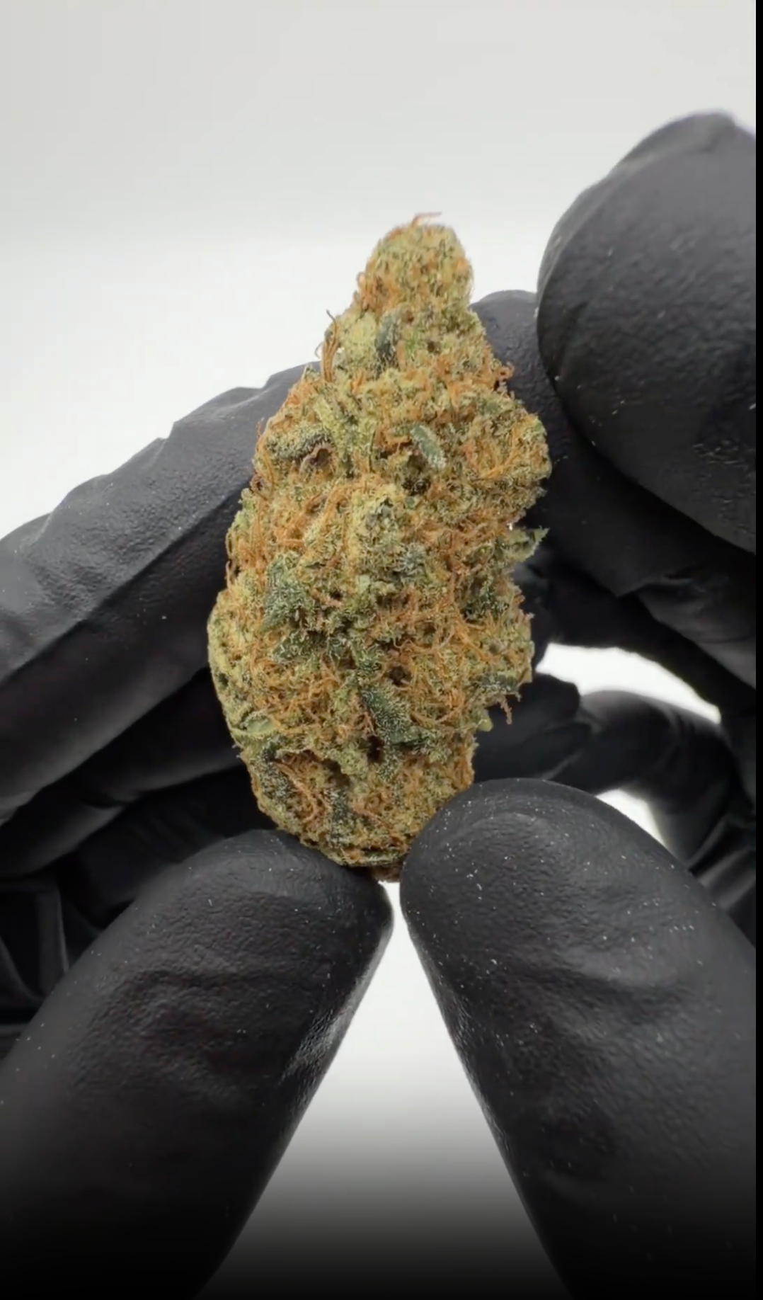 Platinum Jack CBD dried flower bag - premium doypack with buds in front, studio shot